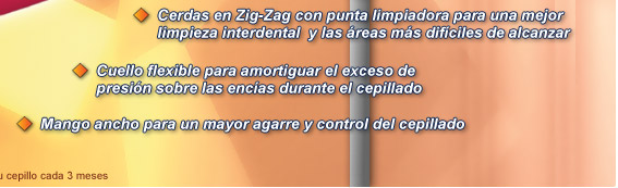 Cerdas en Zig-Zag con punta limpiadora para una mejor limpieza interdental  y las áreas más difíciles de alcanzar. Cuello flexible para amortiguar el exceso de presión sobre las encías durante el cepillado. Mango ancho para un mayor agarre y control del cepillado.
