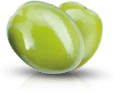 Oliva